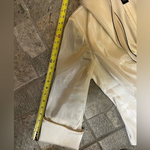 Cachet Vintage woman’s shimmer sheer long sleeve blouse - Picture 7 of 7